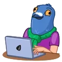 Mr. Pigeon 스티커