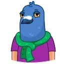 Mr. Pigeon 스티커
