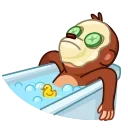 Monkey Puppet 스티커