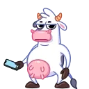 Cow 스티커
