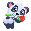 Panda Amanda 스티커