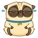 Penny Pug 스티커