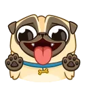 Penny Pug 스티커
