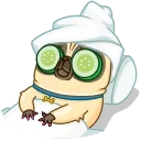 Penny Pug 스티커