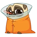 Penny Pug 스티커
