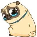 Penny Pug 스티커