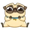Penny Pug 스티커