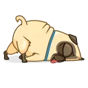 Penny Pug 스티커