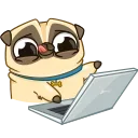 Penny Pug 스티커