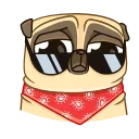 Penny Pug 스티커
