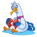 Seagull Sam 스티커