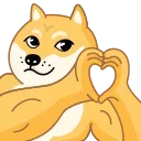 Doge 스티커