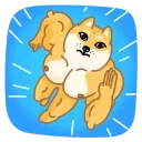 Doge 스티커
