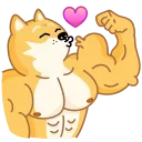 Doge 스티커