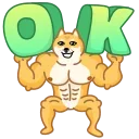 Doge 스티커