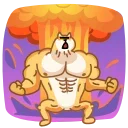 Doge 스티커