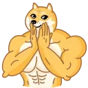 Doge 스티커