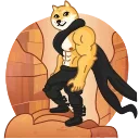 Doge 스티커
