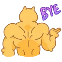 Doge 스티커