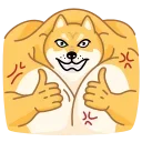 Doge 스티커