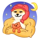 Doge 스티커