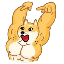Doge 스티커