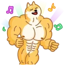 Doge 스티커