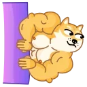 Doge 스티커