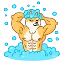 Doge 스티커