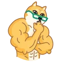 Doge 스티커