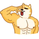 Doge 스티커