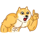 Doge 스티커