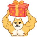 Doge 스티커