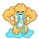 Doge 스티커