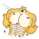 Doge 스티커
