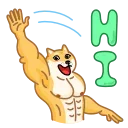 Doge 스티커