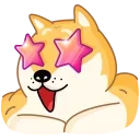 Doge 스티커