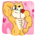 Doge 스티커