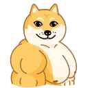 Doge 스티커