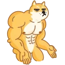 Doge 스티커