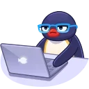 Noot Noot 스티커