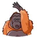 Orangoutang 스티커