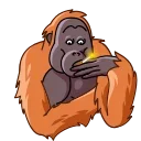 Orangoutang 스티커