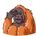 Orangoutang 스티커