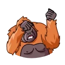 Orangoutang 스티커