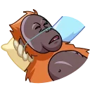 Orangoutang 스티커