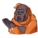 Orangoutang 스티커