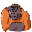 Orangoutang 스티커