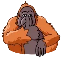 Orangoutang 스티커