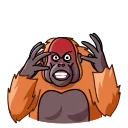 Orangoutang 스티커